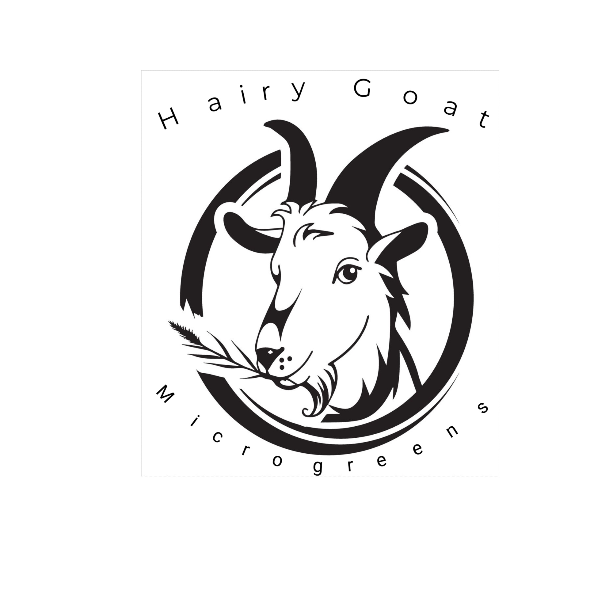 Hairy Goat Microgreens